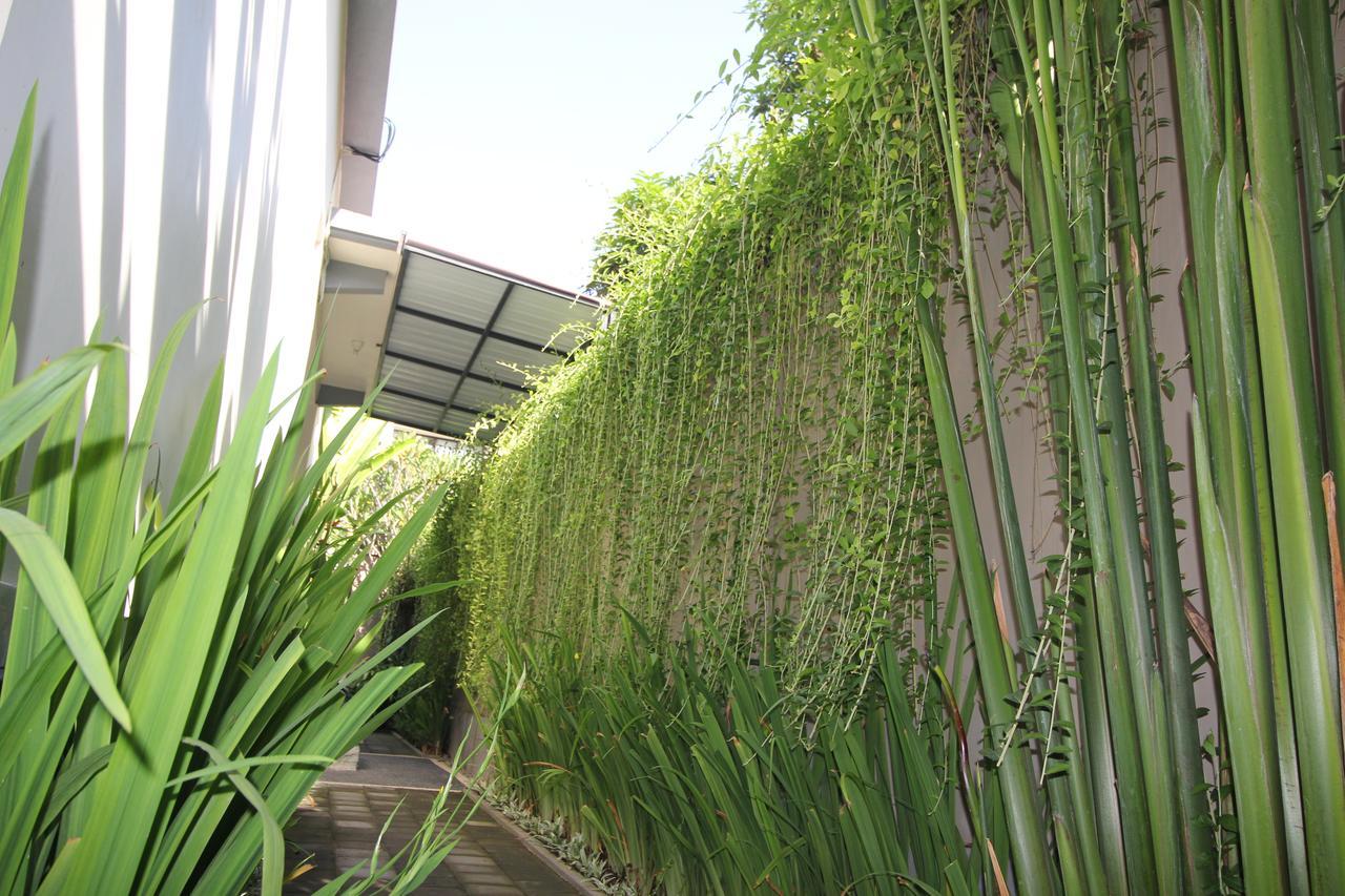 Kamboja Homestay Sanur  Luaran gambar